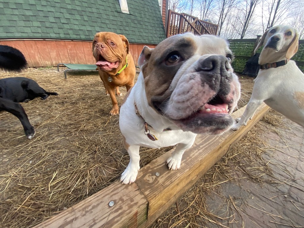 Weezy is like, “Did I miss the memo about the smooshy&nbsp;face?“￼