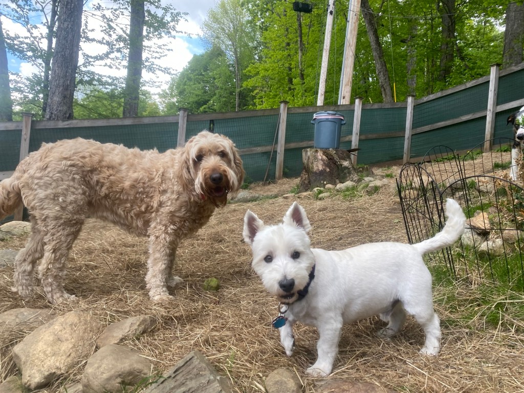 Henry striking a&nbsp;pose
