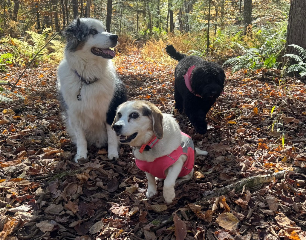 We’re the three best friends that anyone can&nbsp;have!